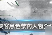 侠客升级攻略大揭秘！（快速提升实力的关键就在这里！）