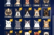 原神巡林小队二号林区全位置汇总（寻找二号林区的全部宝藏和任务）