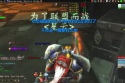 《怀旧服石楠出装属性攻略》（打造强力输出的石楠装备选择与技巧）