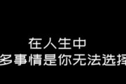 以众生游小说配方为主题的完整攻略（揭秘众生游小说的创作奥秘，从玩家到小说家的蜕变）