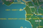 原神稻妻图攻略（开启崭新冒险，与稻妻共度夜晚）