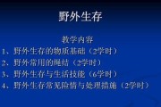 生存技能陷阱攻略（探索女主如何运用生存技能化险为夷）