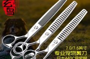 小森生活美容券使用方法详解（游戏内美容券充值、使用及注意事项）