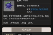原神攻略之雷泽（掌握雷泽的技巧，成为原神世界中无敌的电击使者）
