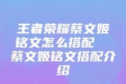 《蔡文姬铭文与出装攻略》（解读最强辅助英雄，提升游戏技巧）