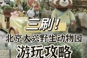 探秘奇妙动物园（畅游奇妙动物园，发现神奇生物的乐园）