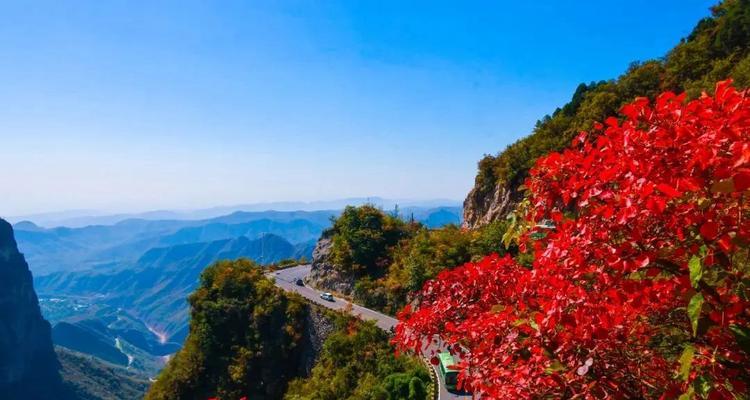 地下城堡3魂之诗薇奥拉解锁攻略（轻松解锁游戏中的最强角色）