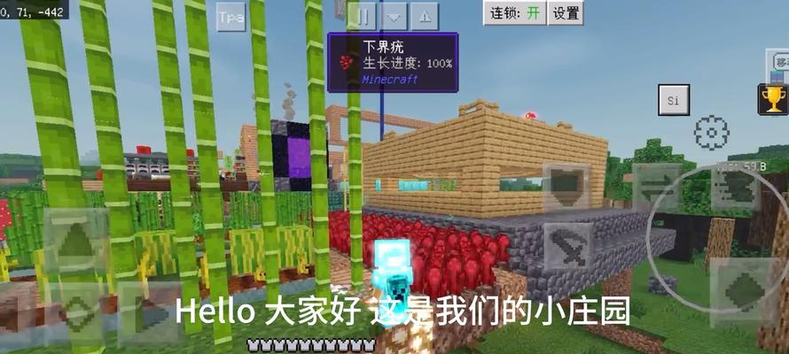 如何采集《我的世界》下界疣？（学会下界疣的获取方法，提高你的游戏玩法！）